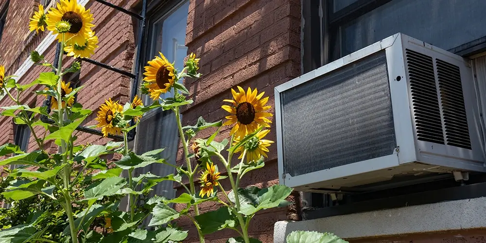 A window AC unit