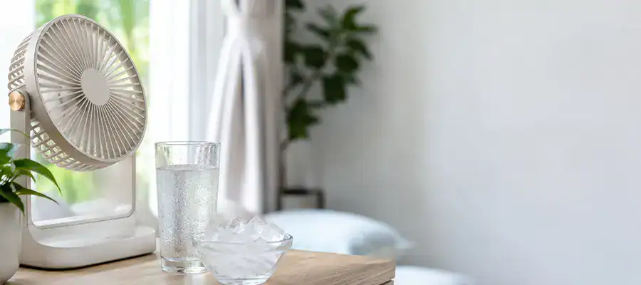 A fan with ice placed in front